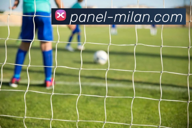 米兰体育APP 封面图